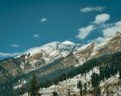 The day is blue sky green pine trees beside the snow-covered mountain
